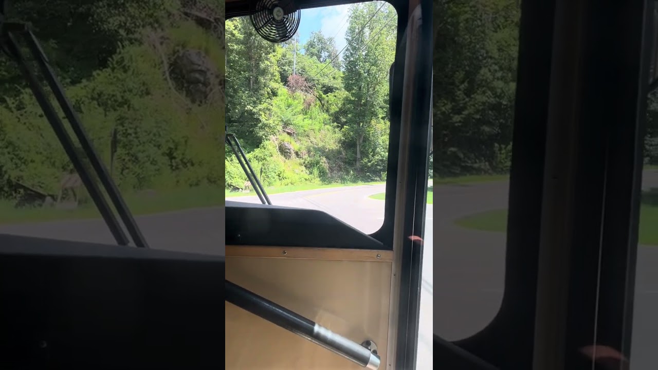 Me on the trolly in peigion forge compilation 