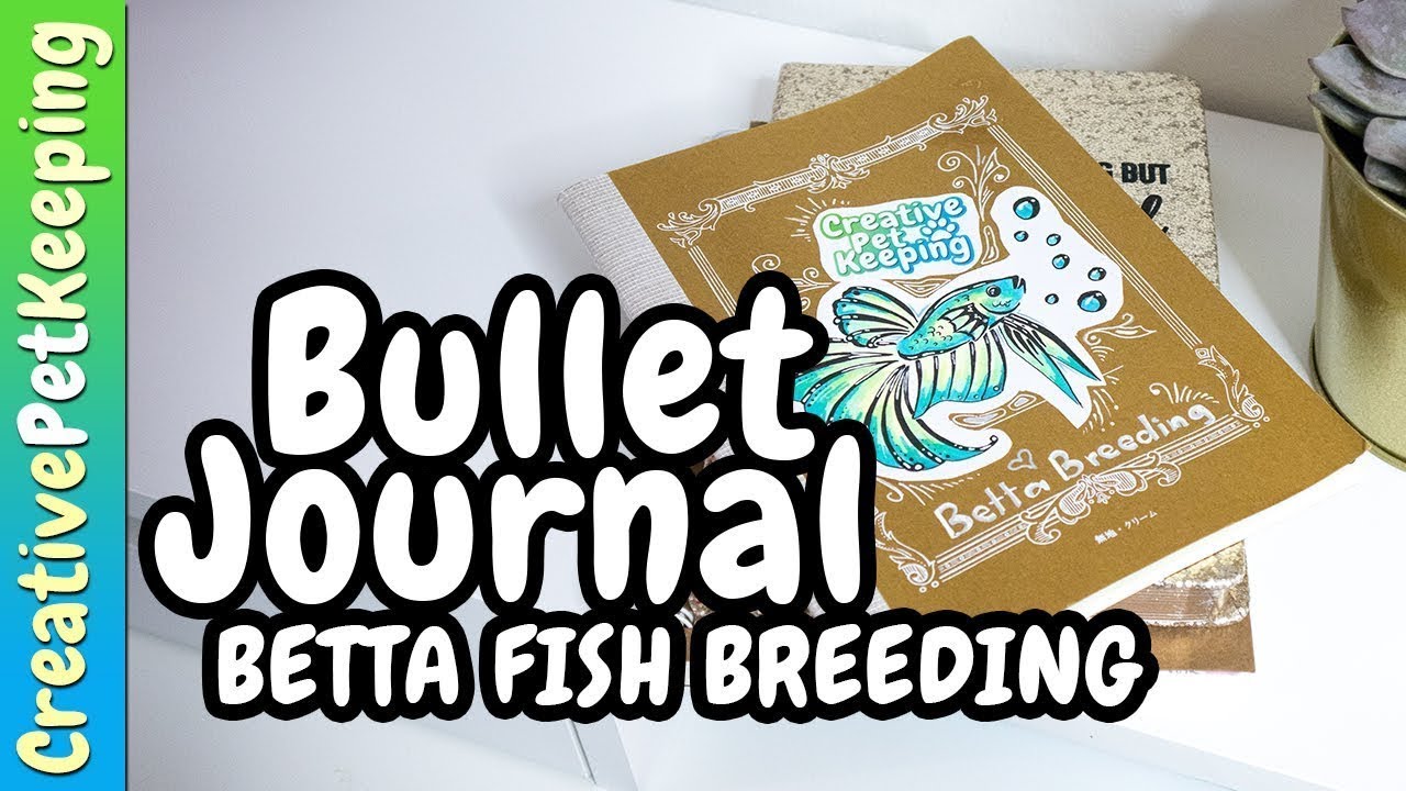 My Betta Breeding Bullet Journal Setup