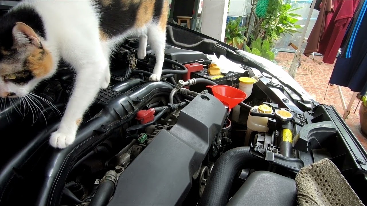 เปลี่ยนน้ำมันเครื่อง ใส้กรองน้ำมันเครื่อง SUBARU XV 2012