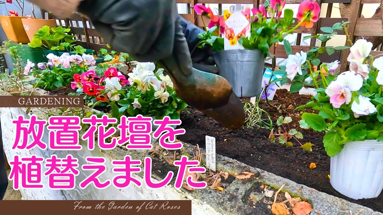 【ガーデニング】　放置状態のブロック花壇を植替えました・１月の庭作業