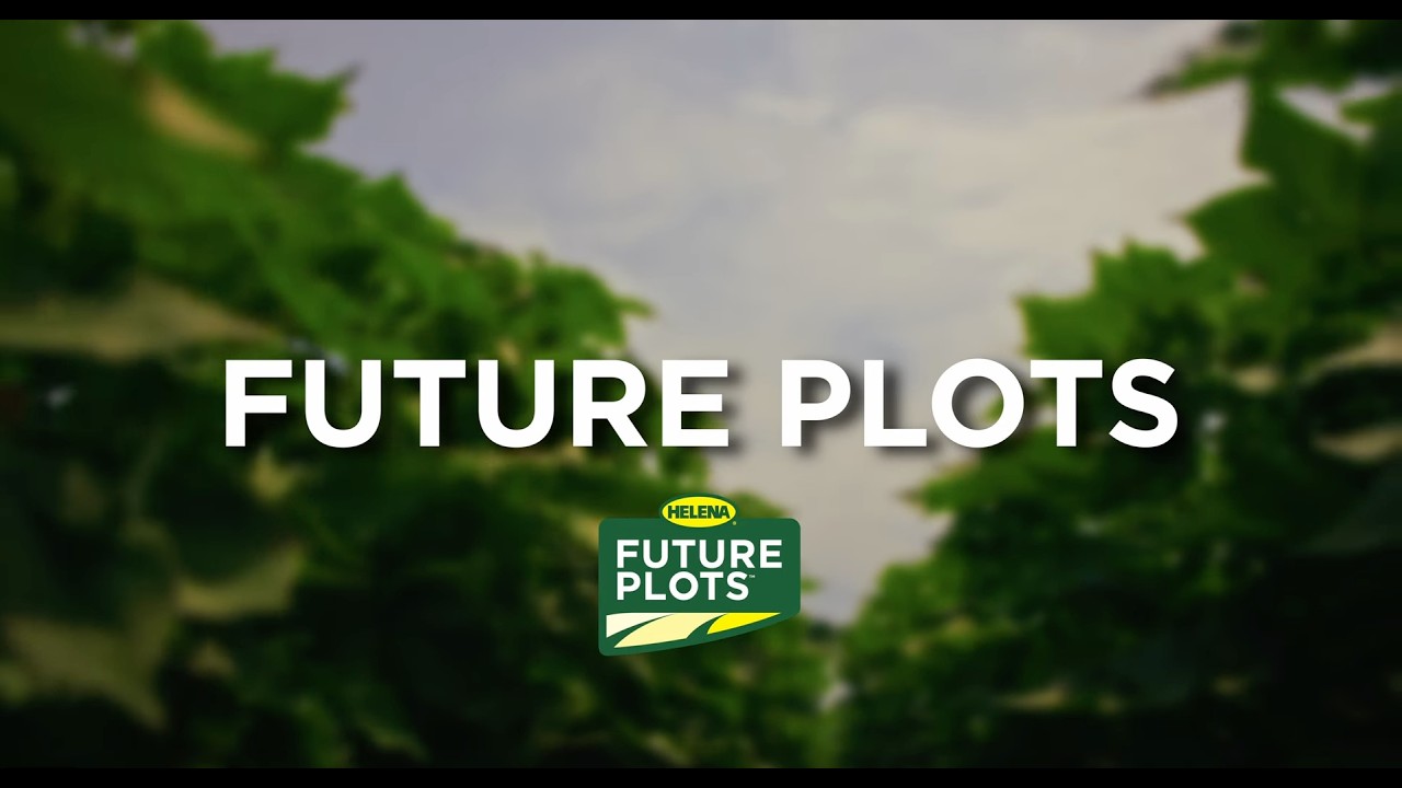 Helena’s Seed Strategy: Helping Growers Choose the Right Seed