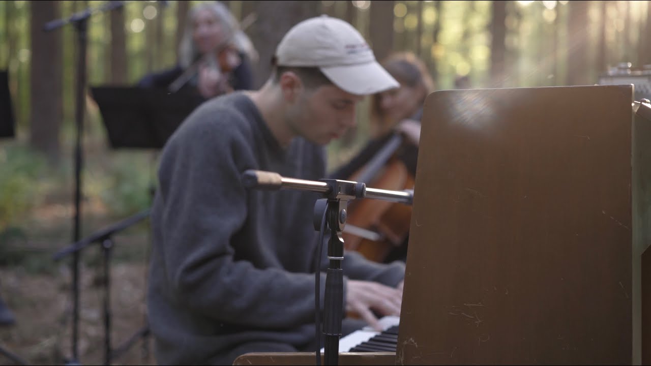 Marius Nitzbon - to be found (forest session IV)
