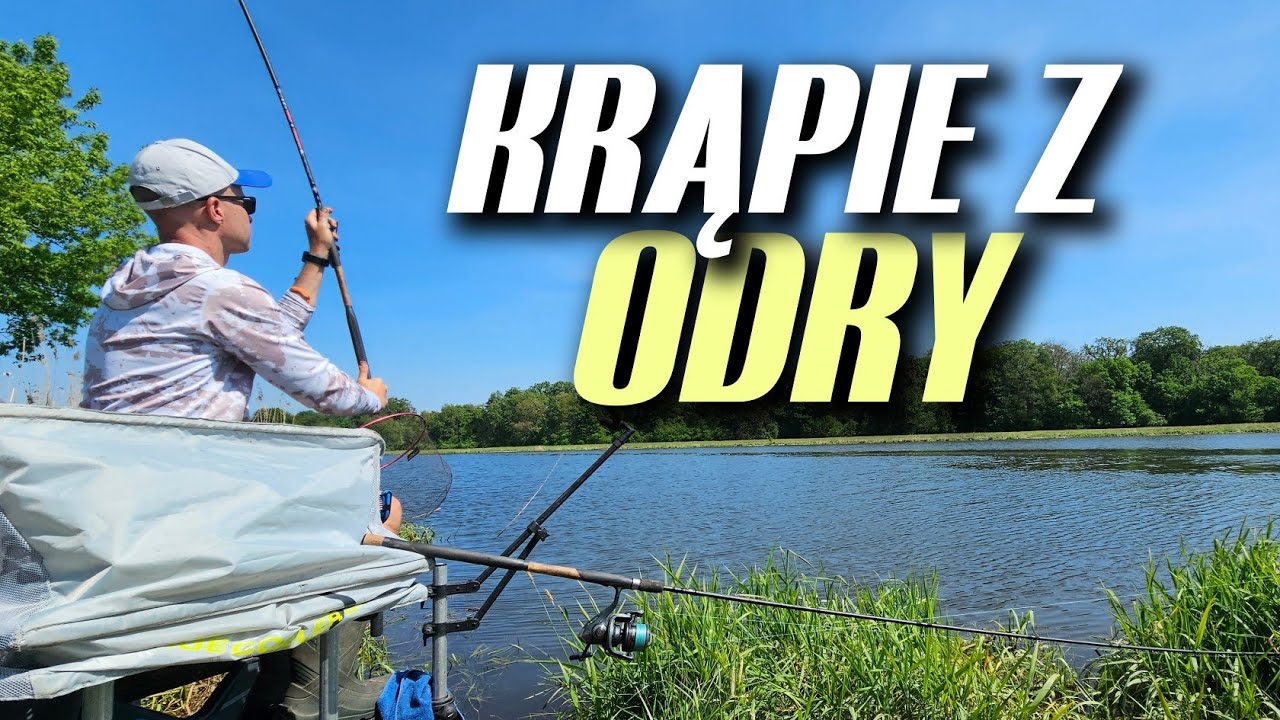 491 FEEDER KRĄPIE - GDY SZUKASZ LESZCZA, A ON...