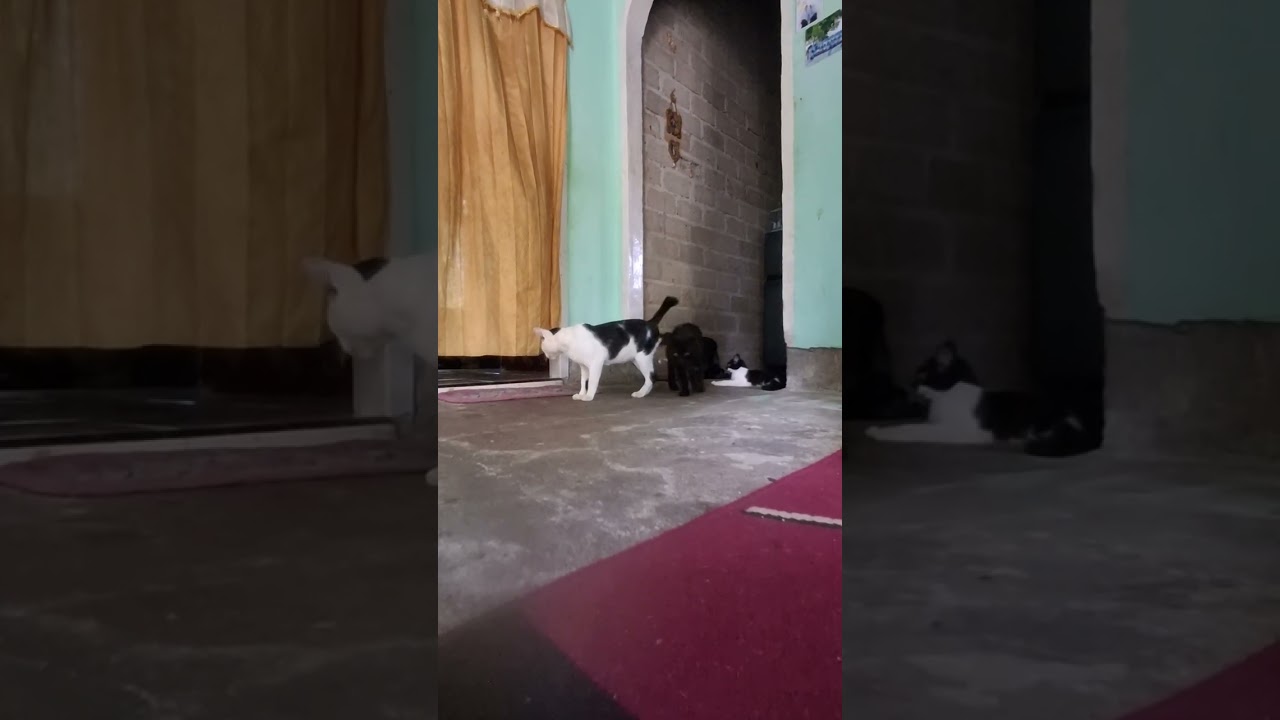 Santai dulu boss