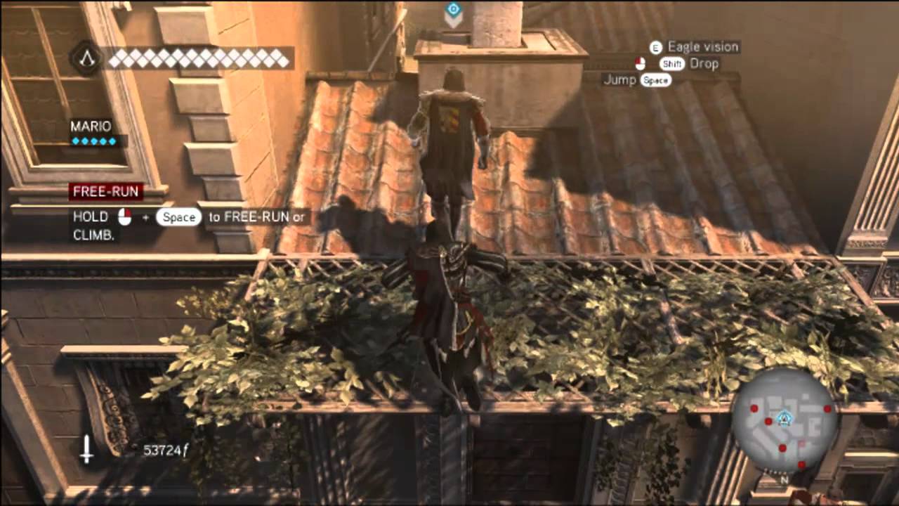 Assassins Creed - Brotherhood