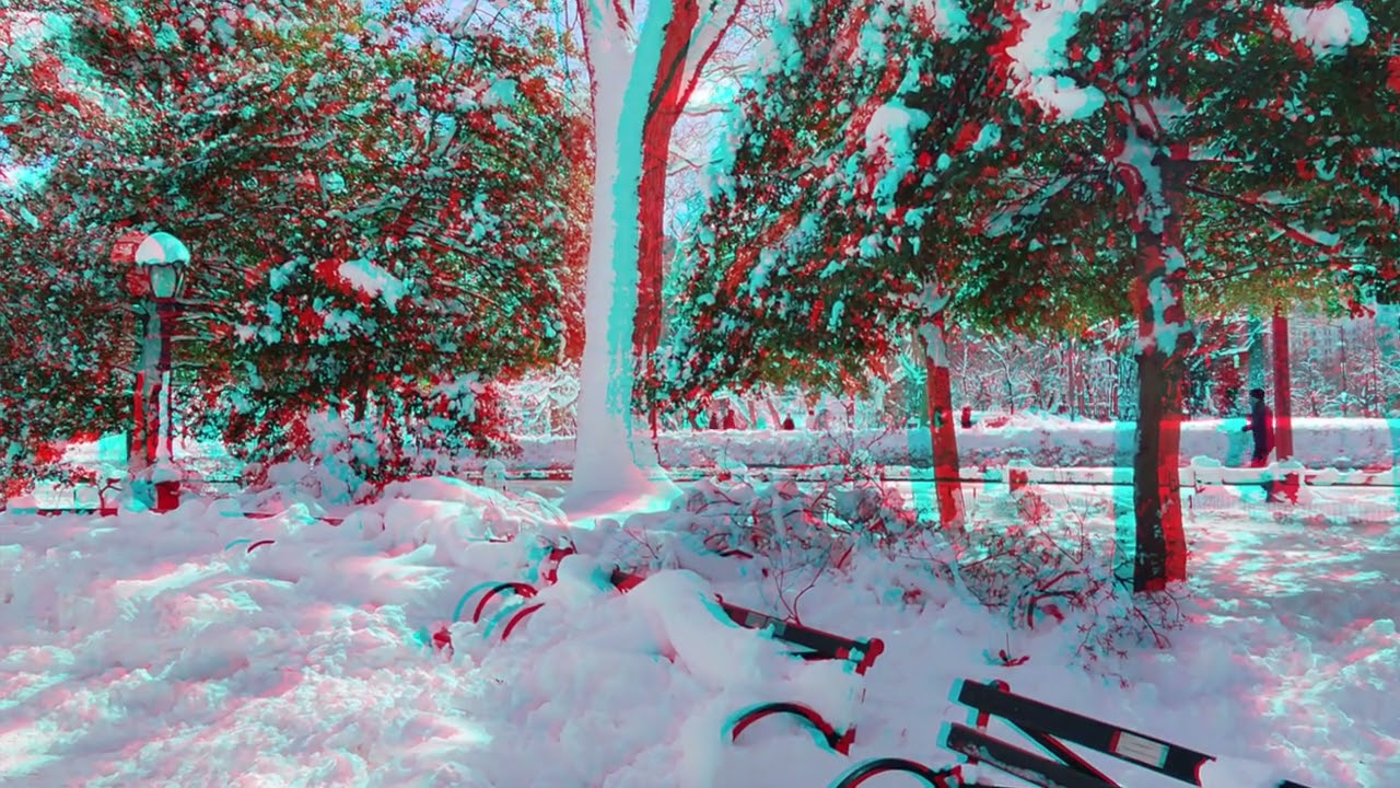 3DNY: Central Park 2/24/2026 - Anaglyph Version (Red Cyan Glasses)