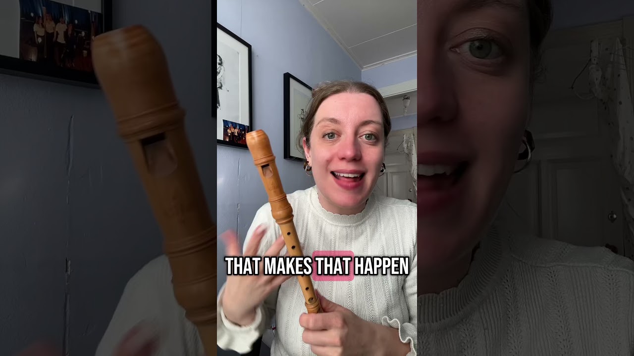 Why do beginner recorder players sound like THIS? #helpmemakethismakesense