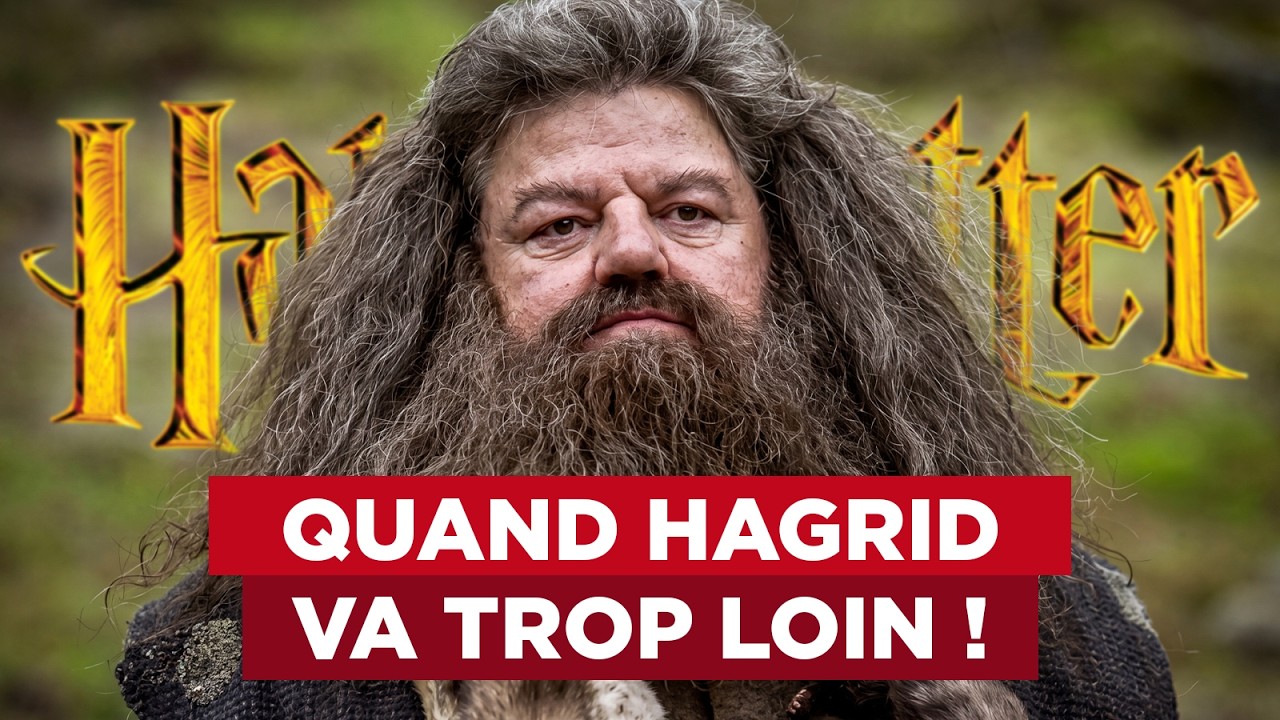 7 FOIS où HAGRID a eu TORT dans HARRY POTTER