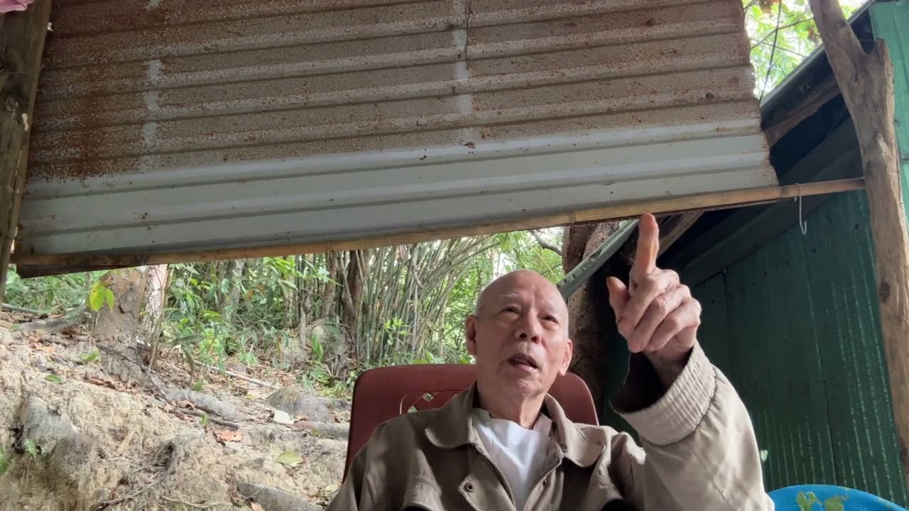 Thăm Sư Ông Bạch Vân - Núi Dinh ngày Mùng 4 Tết - 20/2/2026🙏🙏🙏