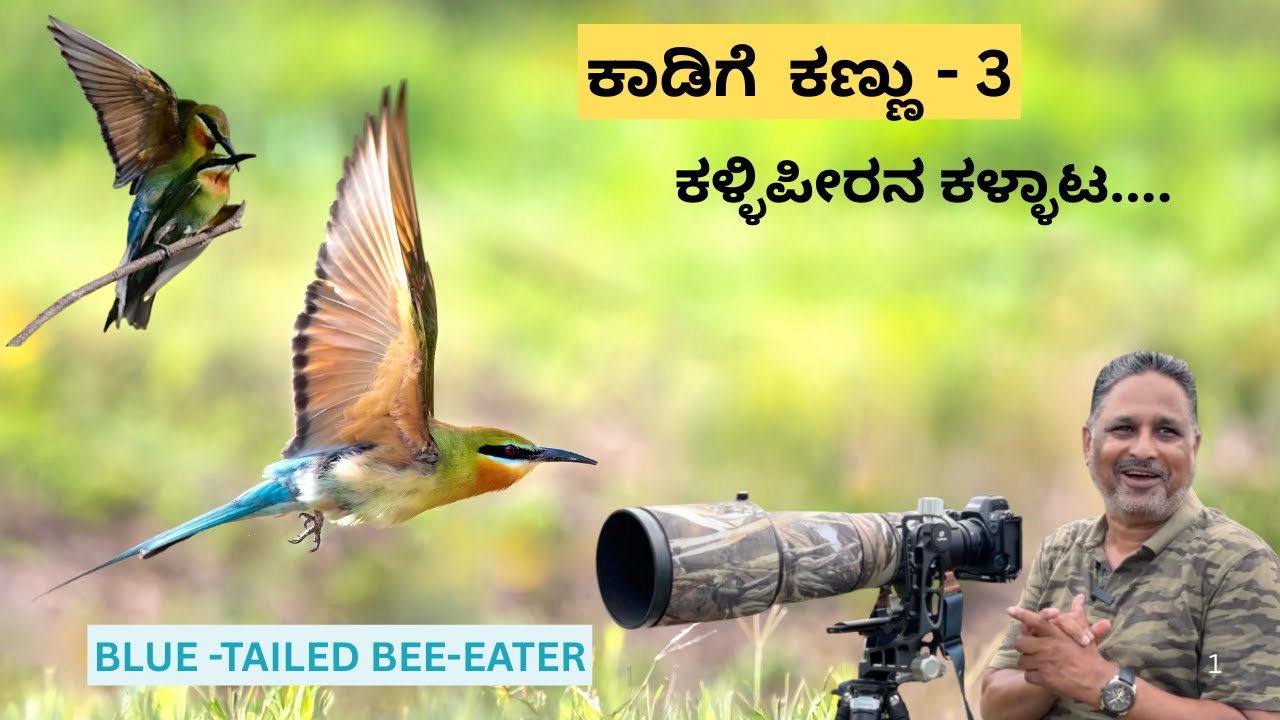 ಮರಳಿನಲ್ಲೇ ಗೂಡು ಕಟ್ಟಿ ಮರಿ ಮಾಡುವ ವಿಶಿಷ್ಟ ಹಕ್ಕಿ! ಈ 'ಜೇನು ಹಿಡುಕ'ನ ಪ್ರೇಮ ಕಥೆ ಕೇಳಿದ್ದೀರಾ?| NADE NUDI| EP-3
