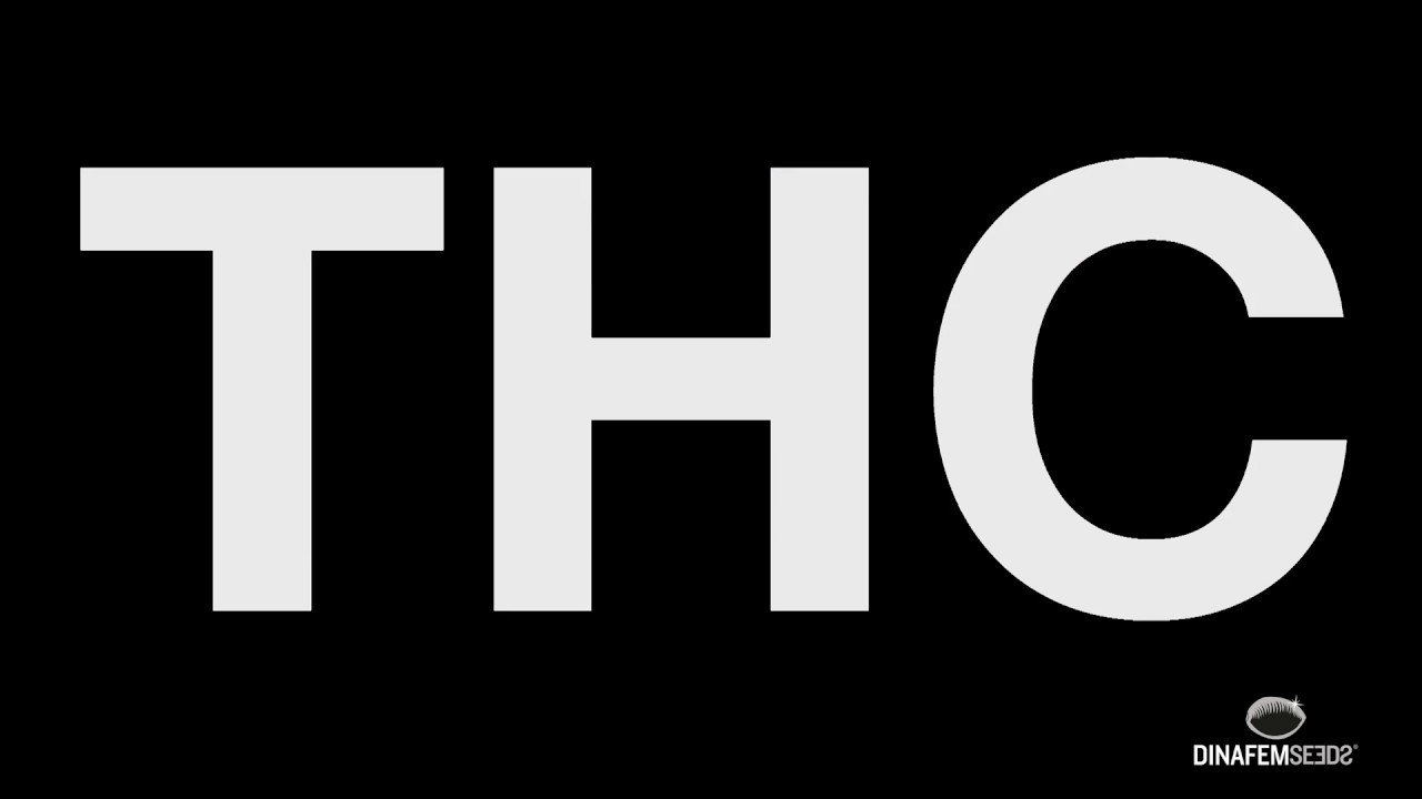 High THC strains by Dinafem Seeds