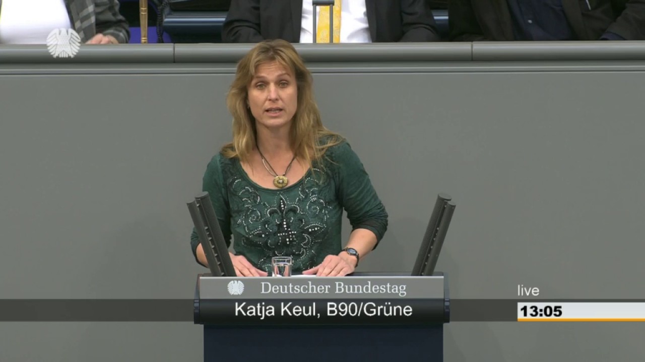 Rede zur Bek&auml;mpfung der Kinderehe in der 1. Lesung am 13. Mai 2017