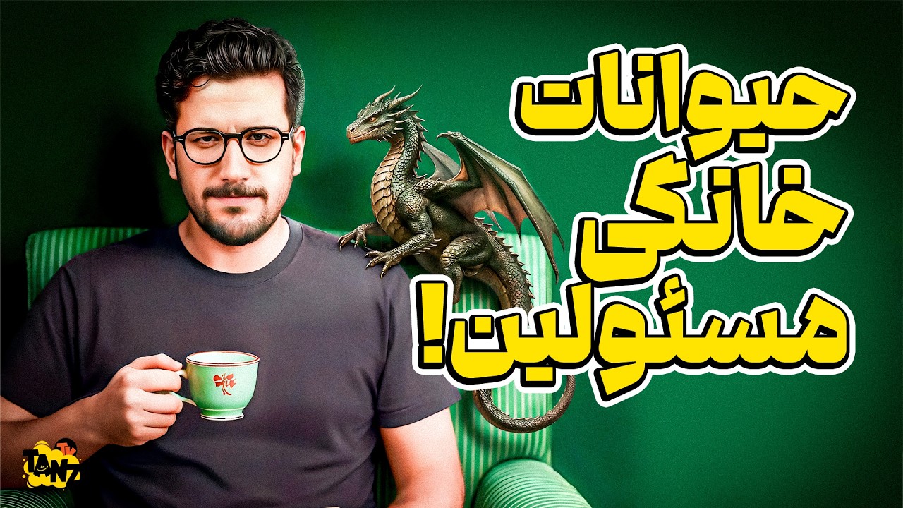 دراگون کوچولو رو چی کار کنم | نیمه شب امیرحسین قیاسی 😃