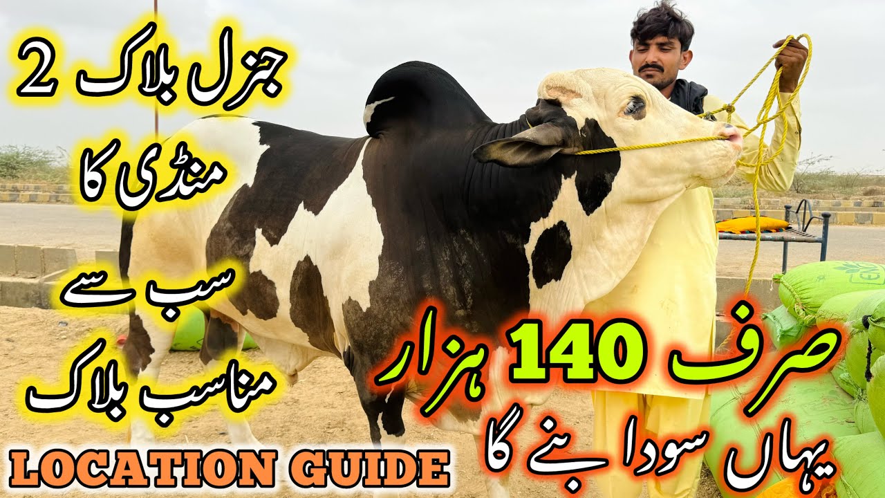 Northern Bypass Mandi General Block 2 | Rates & Bargaining | Bakra Eid Season 2025