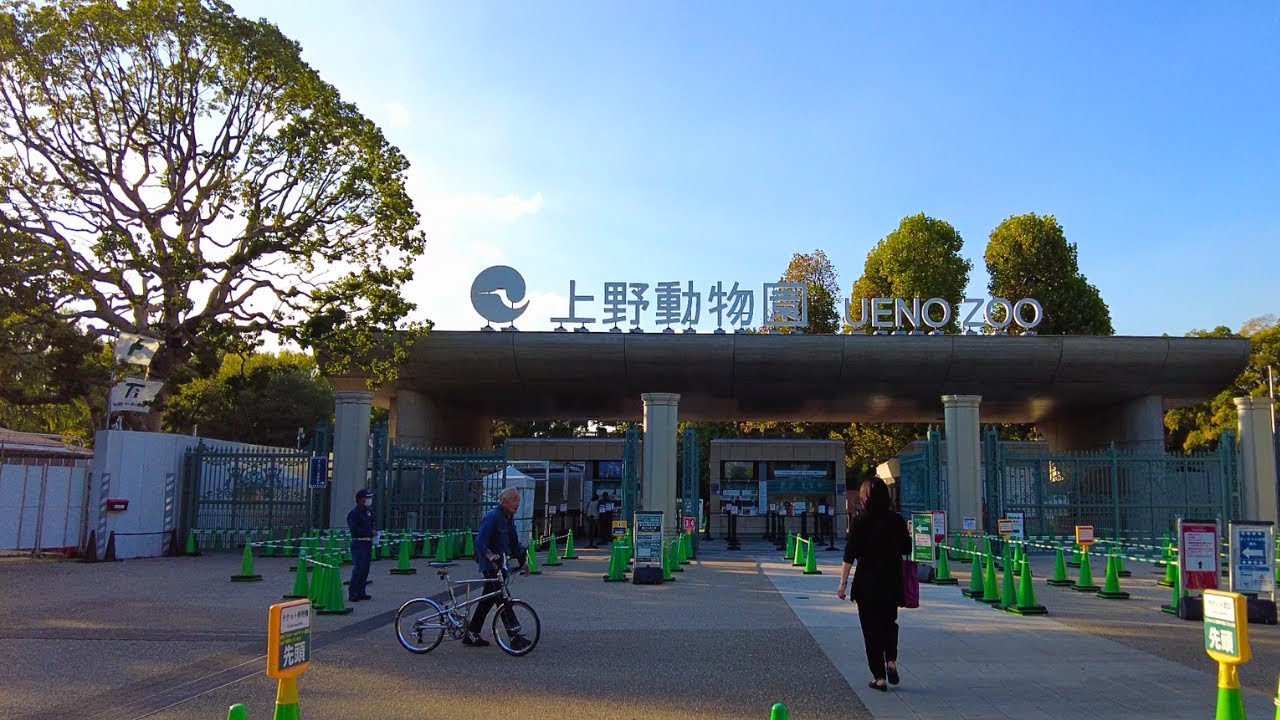 Ueno Park & Ueno Zoo Walkthrough -  Nov 2023