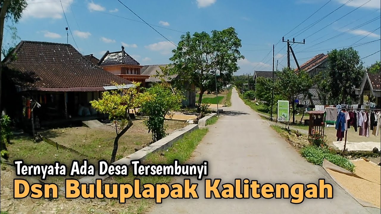 Seperti Ini Desa TERSEMBUNYI Yang Ada Di Sugio LAMONGAN , Dusun Buluplapak Kalitengah sugio ⁉️