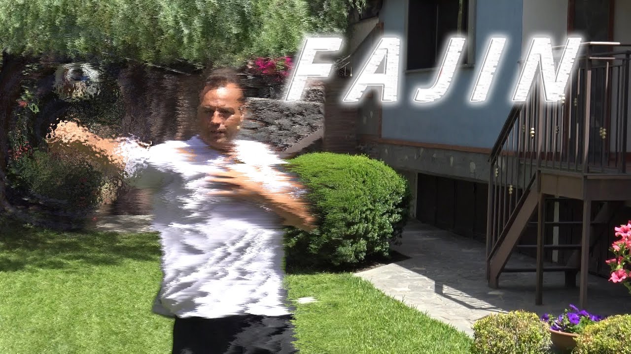 Fajin - Comprendere la Forza Esplosiva - Gianfranco Pace - Tai Chi Online - Area download video
