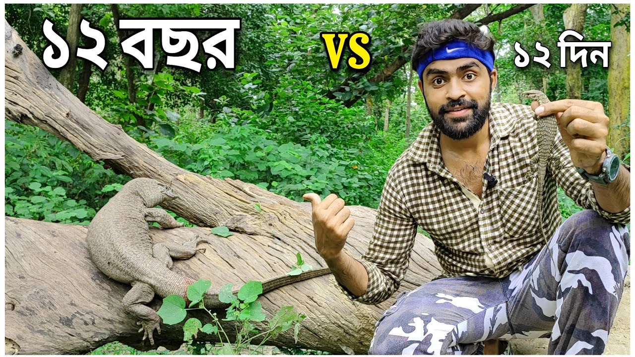 বিষাক্ত থুতু গায়ে লাগলেই সর্বনাশ? লেজের বারি খেলেই পচন ধরবে? #snakesaverbrothers #monitorlizards