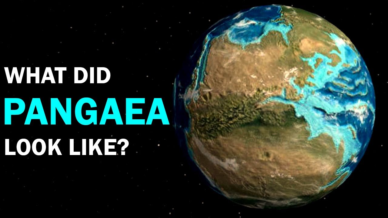 What Did Pangaea Look Like? | Documentary for Sleep