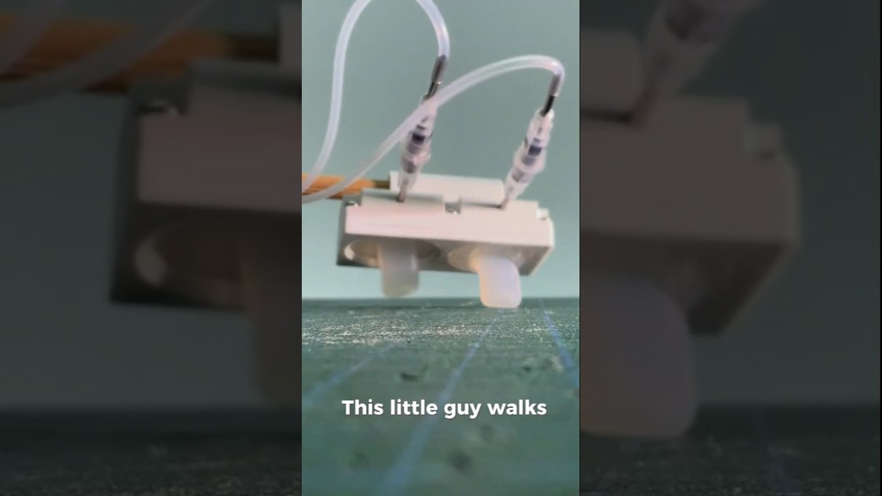 This Cute Robot Walks on Squishy Legs!