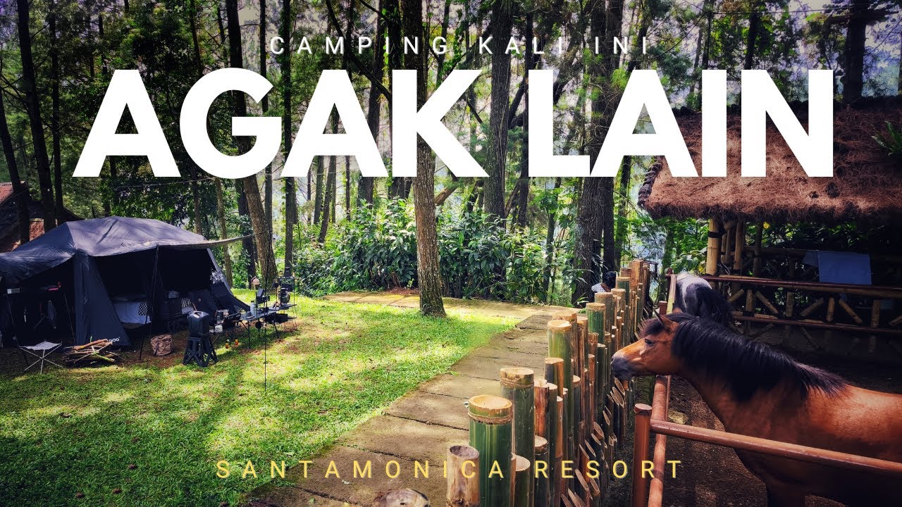 CAMPING DIHUTAN ?? NO‼️CAMPING DI KOPI DAONG | CAMPING HEAVY RAIN & FULL FOG | SANTAMONICA RESORT