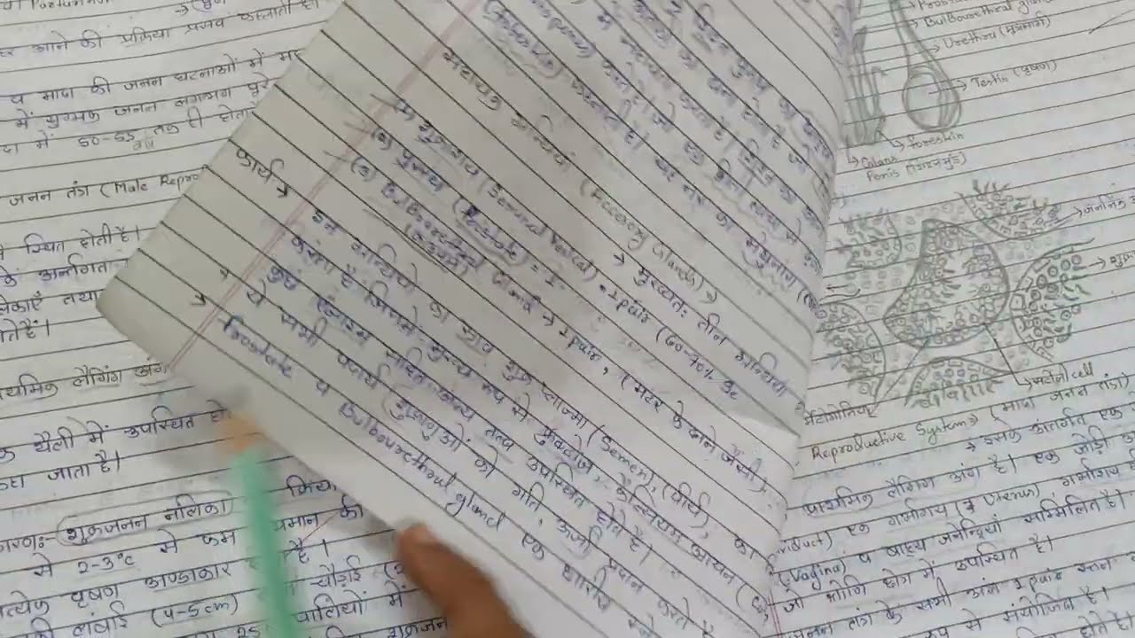 12 th BIOLOGY  NOTES/ मानव जनन 