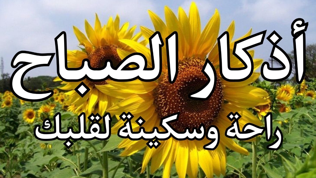 أذكار الصباح - راحة نفسية لا توصف بصوت القارئ علاء عقل | Morning Athkar - Dzkir Pagi