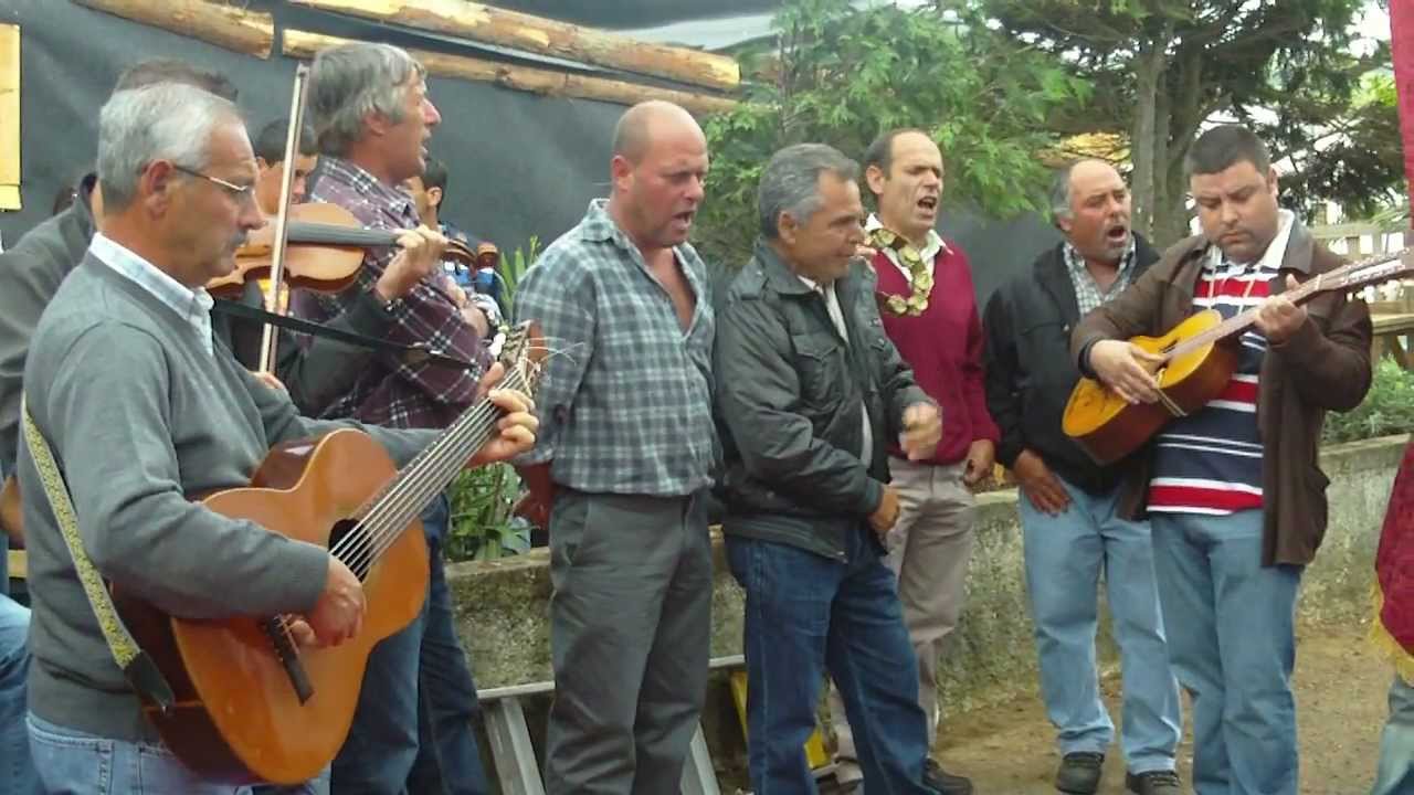 Folia na saida para a recolha do gado