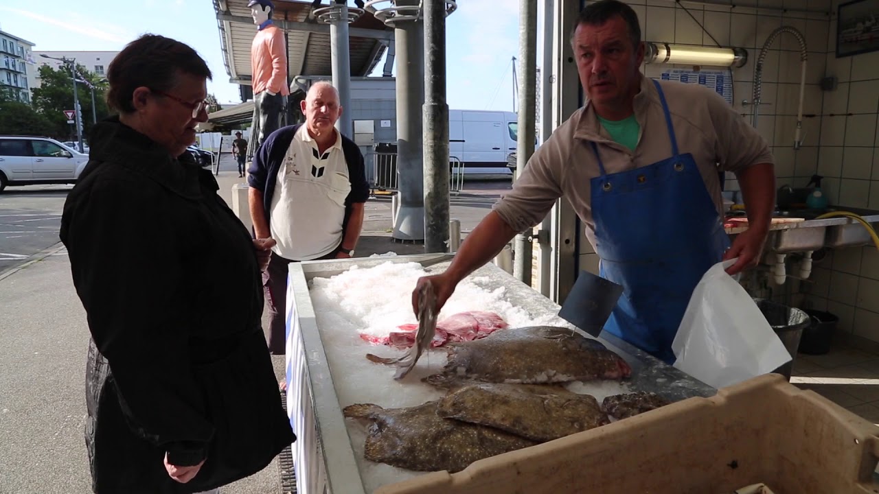 France  Fish market / France Pas de Calais Boulogne sur mer Marché aux poissons