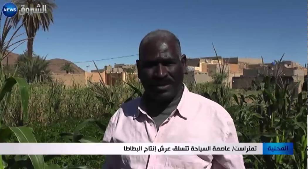 تمنراست: عاصمة السياحة تتسلق عرش إنتاج البطاطا