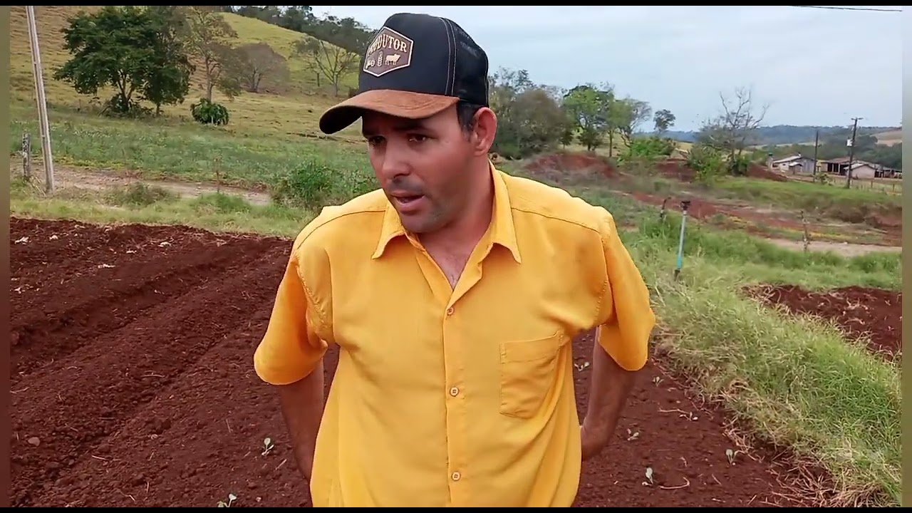 Como plantar repolho e o espaçamento certo,esse vídeo é muito importante voceis vão gostar