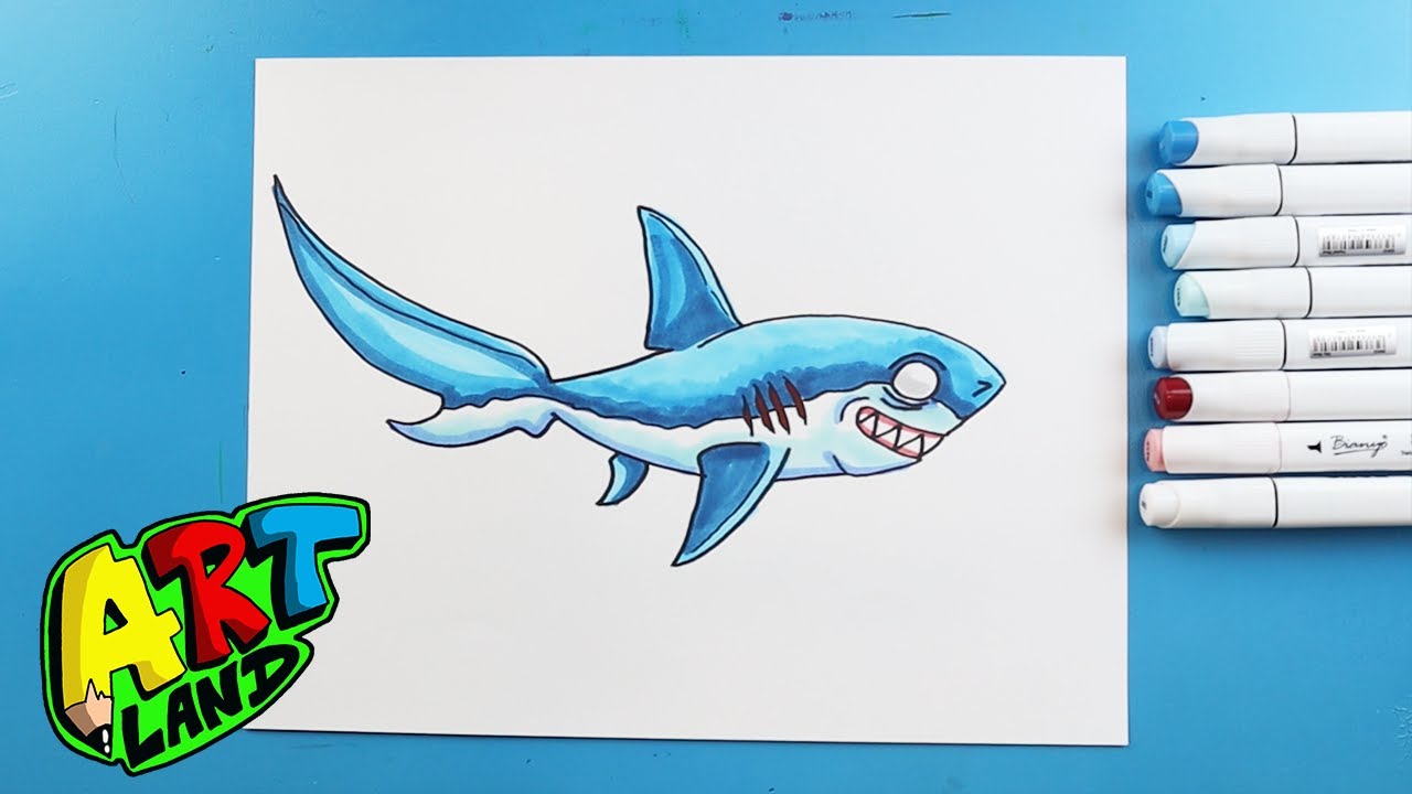How to Draw a THRESHER SHARK