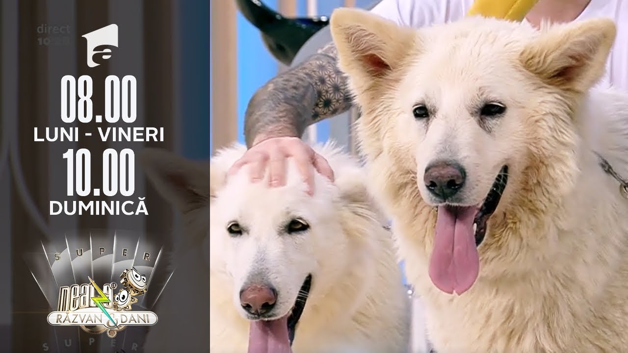 Invitați Neatza | Lupii albi, cei mai buni prieteni ai copiilor