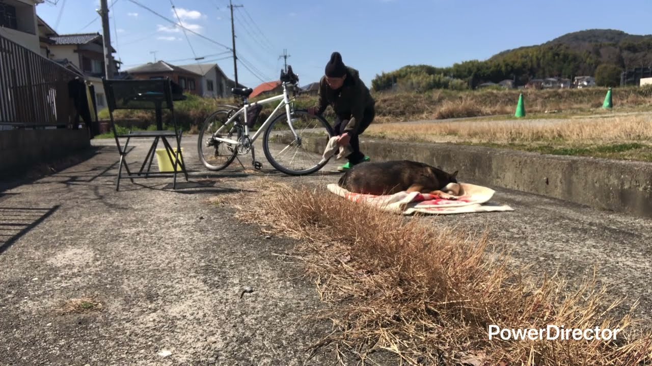 2026.3.16.自転車,統合失調症FTM,ミックス中型犬ラッキー,