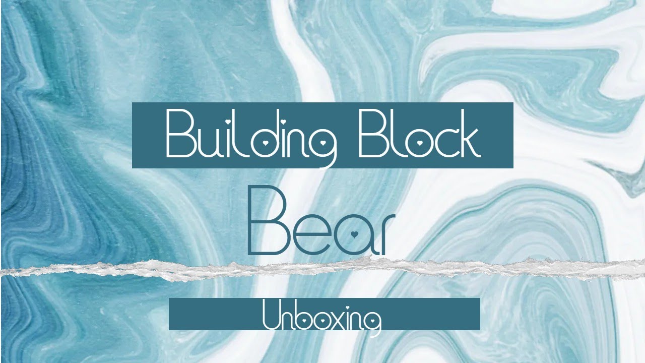 Building Block Bear unboxing