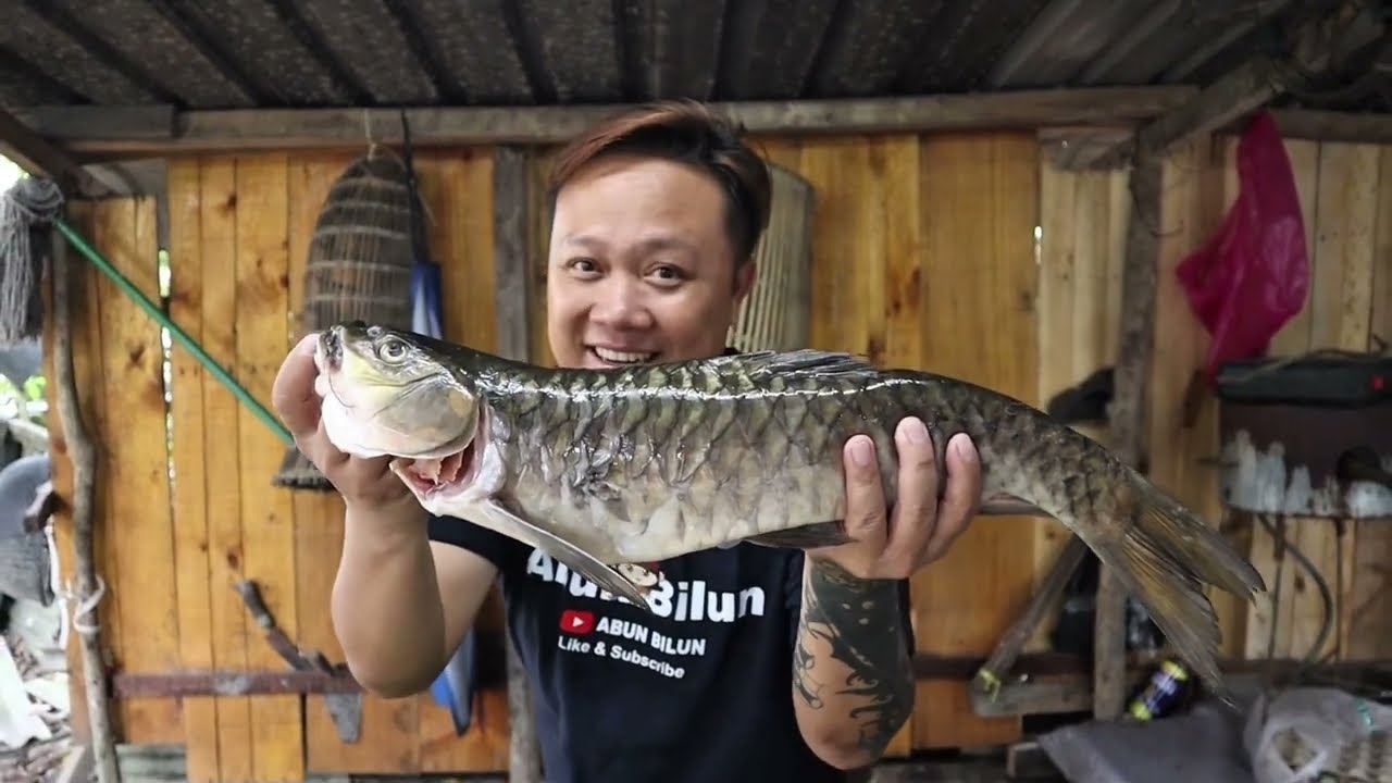 KONGSI REZEKI OLE-OLE DARI BARIO // 2KG IKAN KELAH MASAK SUP DAN KATAK PANSUH //
