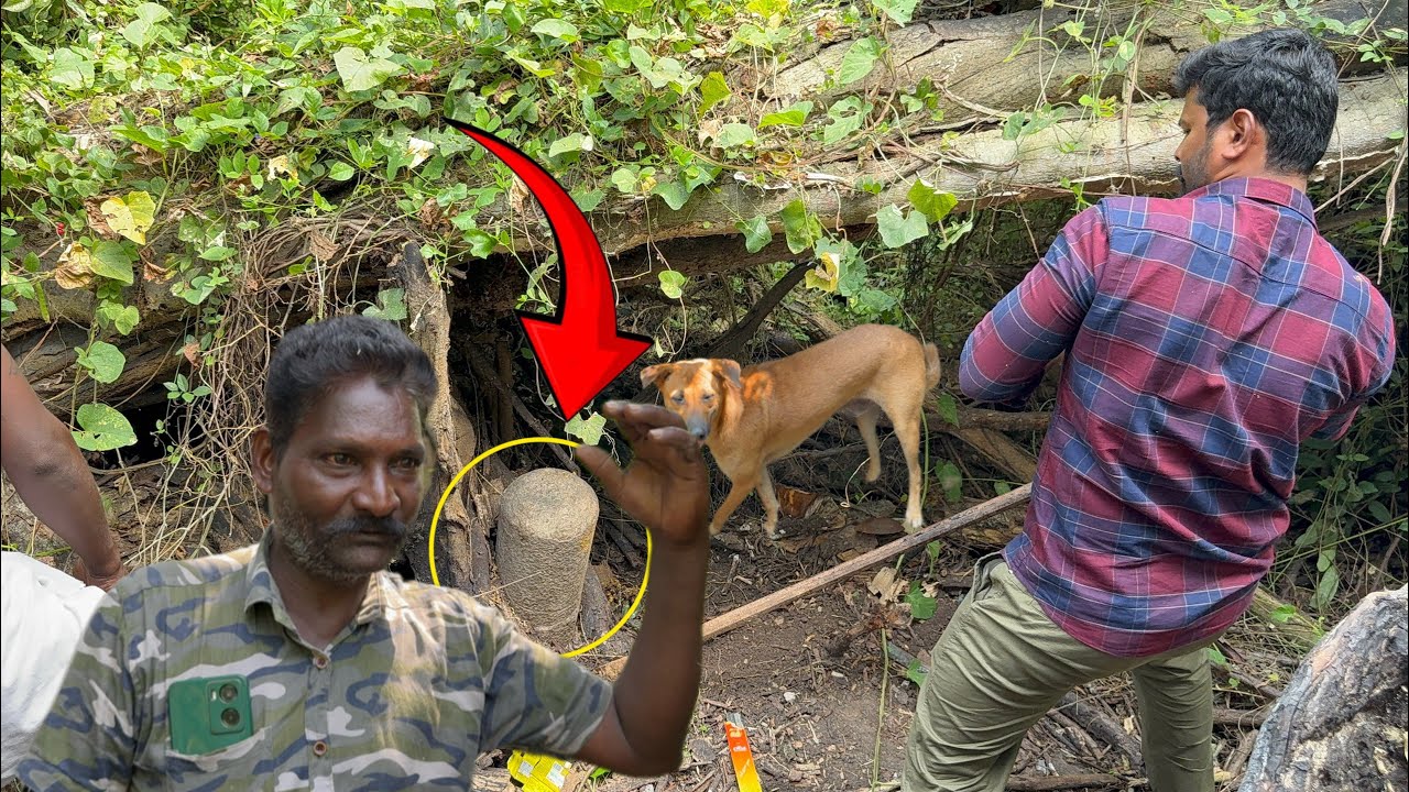 😳😱🙏📿தம்பி ஒரு மீசை காரன் வந்துதான் இந்த சிவ லிங்கத்தை வெளியே எடுப்பானு ஒரு சாமியார் சொன்னார். .