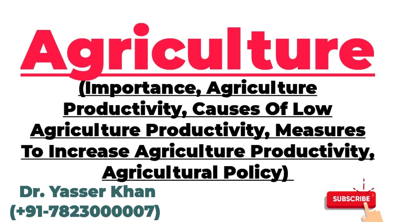 Agriculture | Importance Of Agriculture | Agriculture Productivity | Economics | Indian Economy