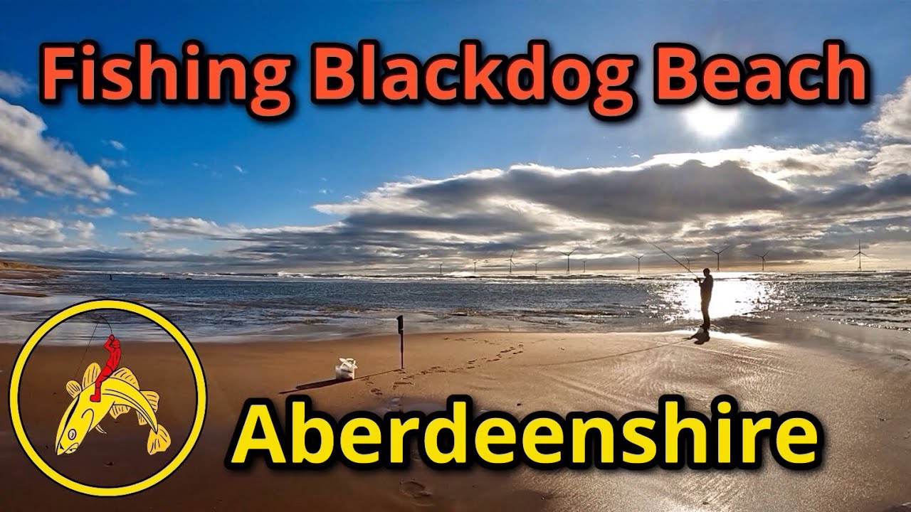 Sea Fishing: Blackdog: Beach: Aberdeenshire: FISHnTHINGS: 🎣