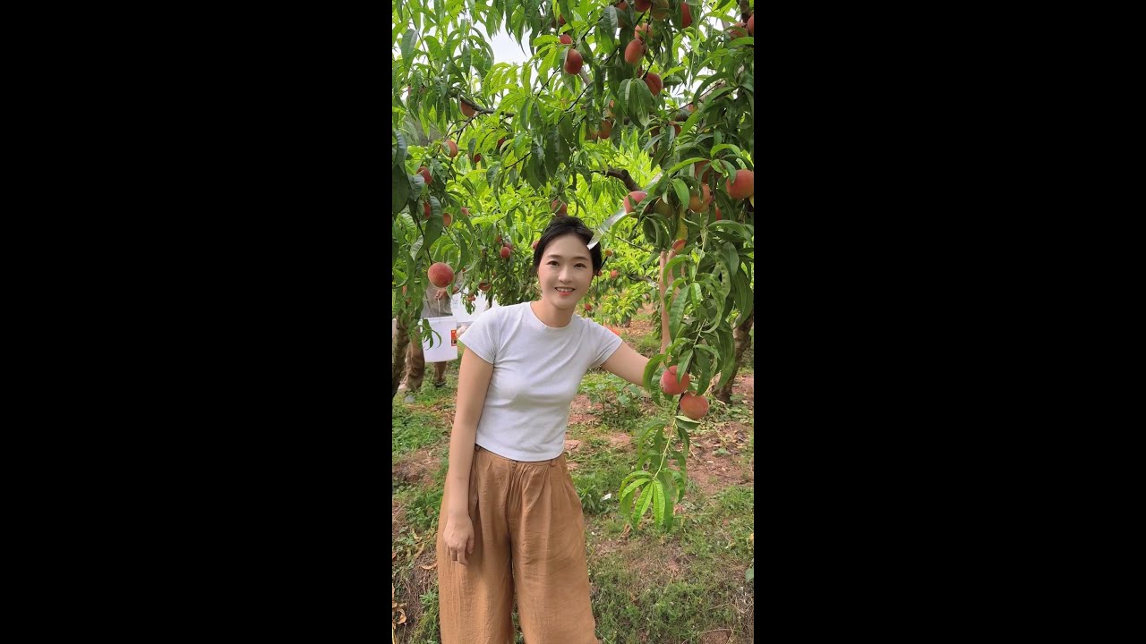 回家種地沒有你想象的那麼簡單，但家鄉是治愈心靈的好地方。