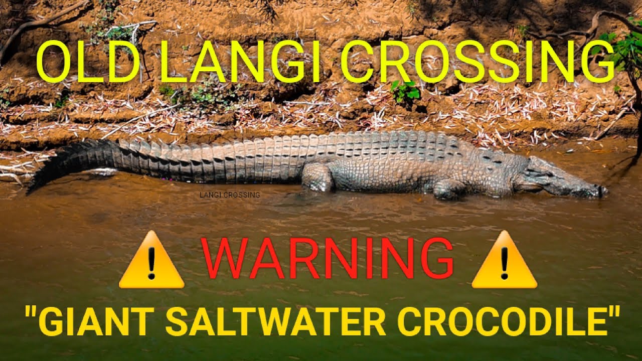 MABU BURU LIFESTYLE EP 46 - OLD LANGI CROSSING: NO FISH, GIANT SALTWATER CROCODILE!!!