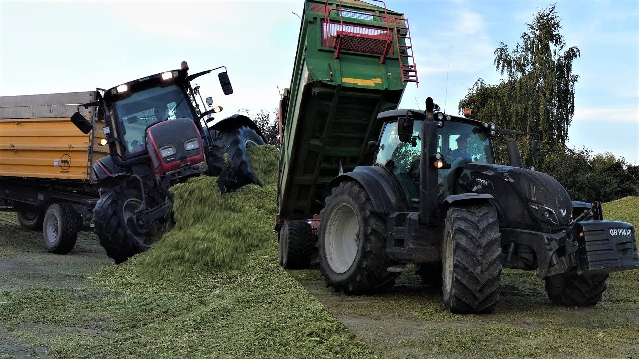 VALTRA BOKIEM?! 🔥 KOSZENIE KUKURYDZY 2020 🌽QQ DAYS w GR Piwko!