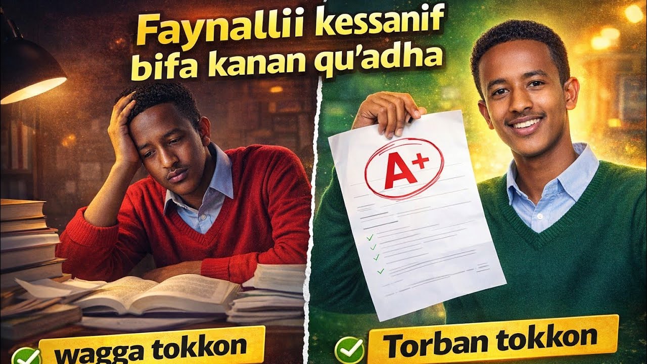 Qormaataaf Akkamitti Qopha'uun Danda'ama? | 6 effective Study Tips (Afaan Oromoo)