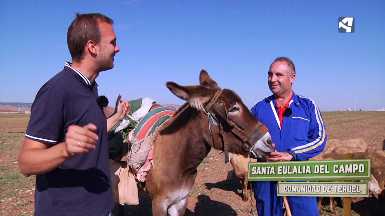 Santa Eulalia del Campo su ganadería- Menudo es mi pueblo