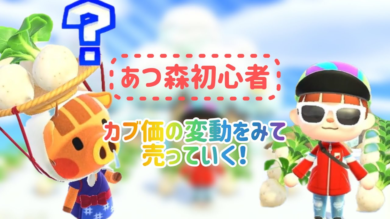 【あつ森初心者】カブ価の変動を見て売ります！ちなみにこの動画は堅調型でした。