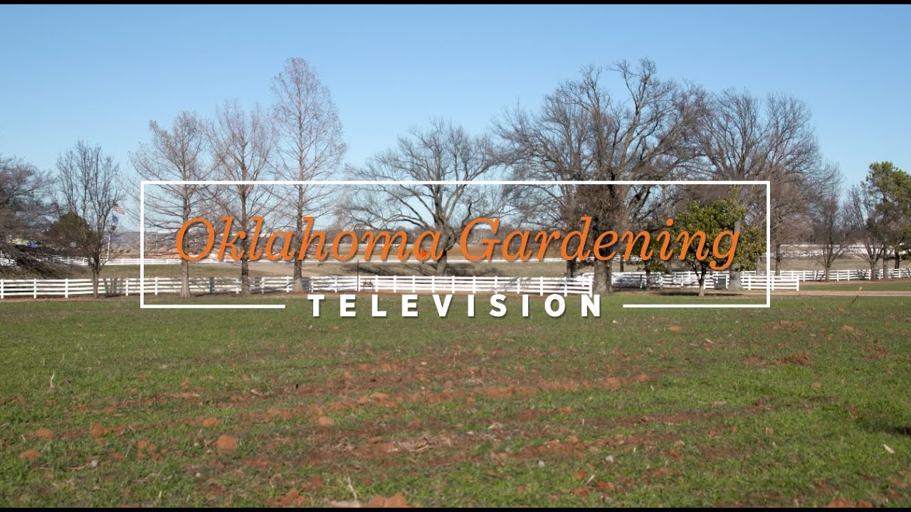Oklahoma Gardening February 18, 2023