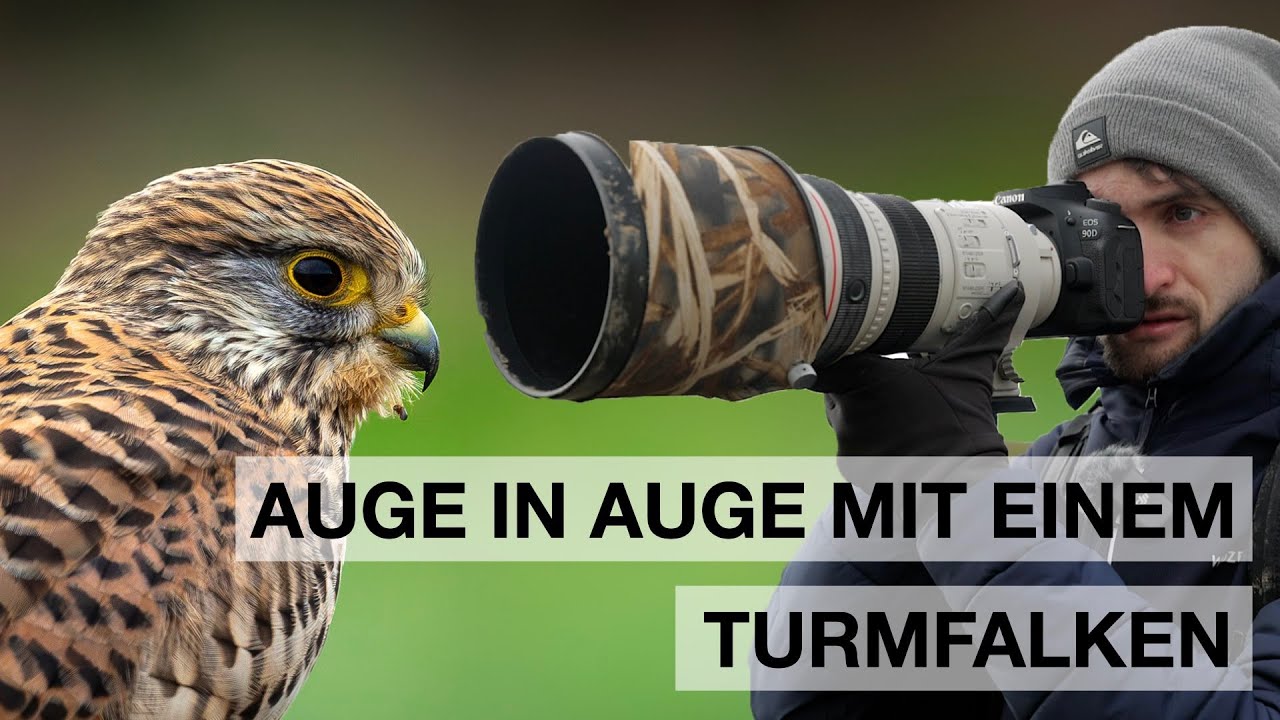 Naturfotografie bei Hochwasser | Vögel mit dem EF 300mm 2.8 fotografieren
