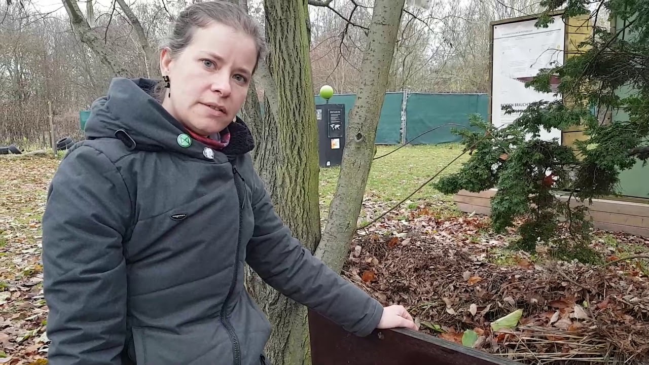 Was machen die Würmer im Winter?