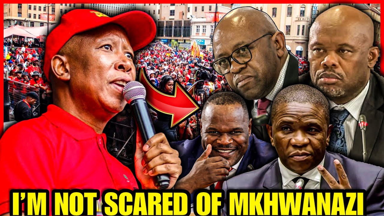 Julius Malema Breaks Silence on Allegations Mkhwanazi Made About Him at Ad Hoc Committee & Madlanga