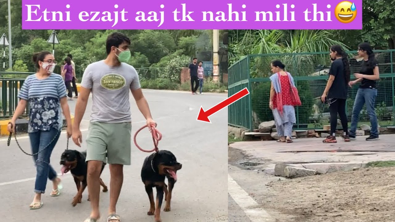 Public Reaction: Rasta chorr diya 2 rottweilers ko dekh ke😅